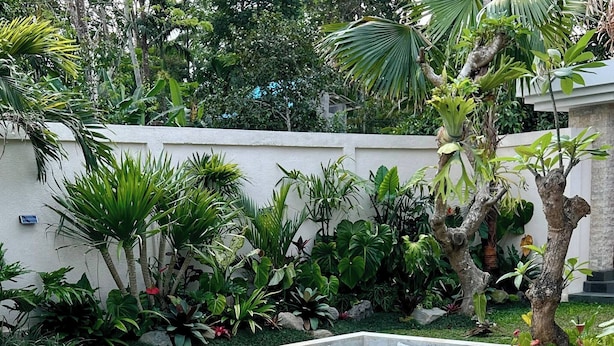 A rectangular pool with a built-in seating area and a variety of tropical plants around it. - Guru Darma Villa Newly Built September 2025 (Taro)