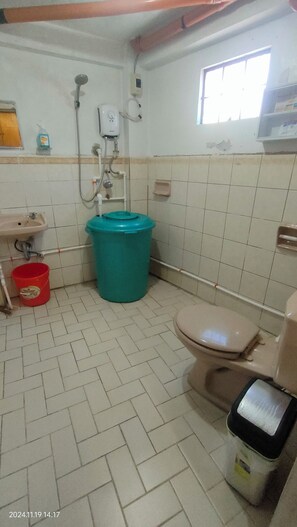 Shower, bidet, towels, soap