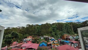 Un quartier résidentiel avec des maisons, dont certaines ont des toits rouges, entouré d’une forêt dense et verdoyante.