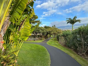 Property grounds - Maui Vista 2216 Charming 1-bedroom condo in South Maui, perfect for a relaxing getaway! (Kihei)
