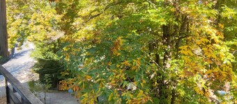 The House of Lavender relaxes just minutes from Fiumalbo and the ski slopes.