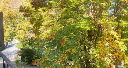 The House of Lavender relaxes just minutes from Fiumalbo and the ski slopes.