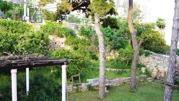 Immagine non classificata, 1 di 13, pulsante