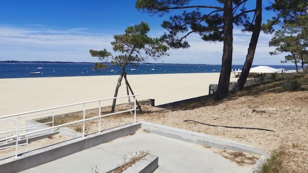 Een strand met een betonnen pad dat naar de kust leidt, enkele bomen en een helder uitzicht op de zee.