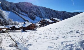 Miscellaneous - Apartment Near Les Perrieres Ski Slopes (Les Gets)