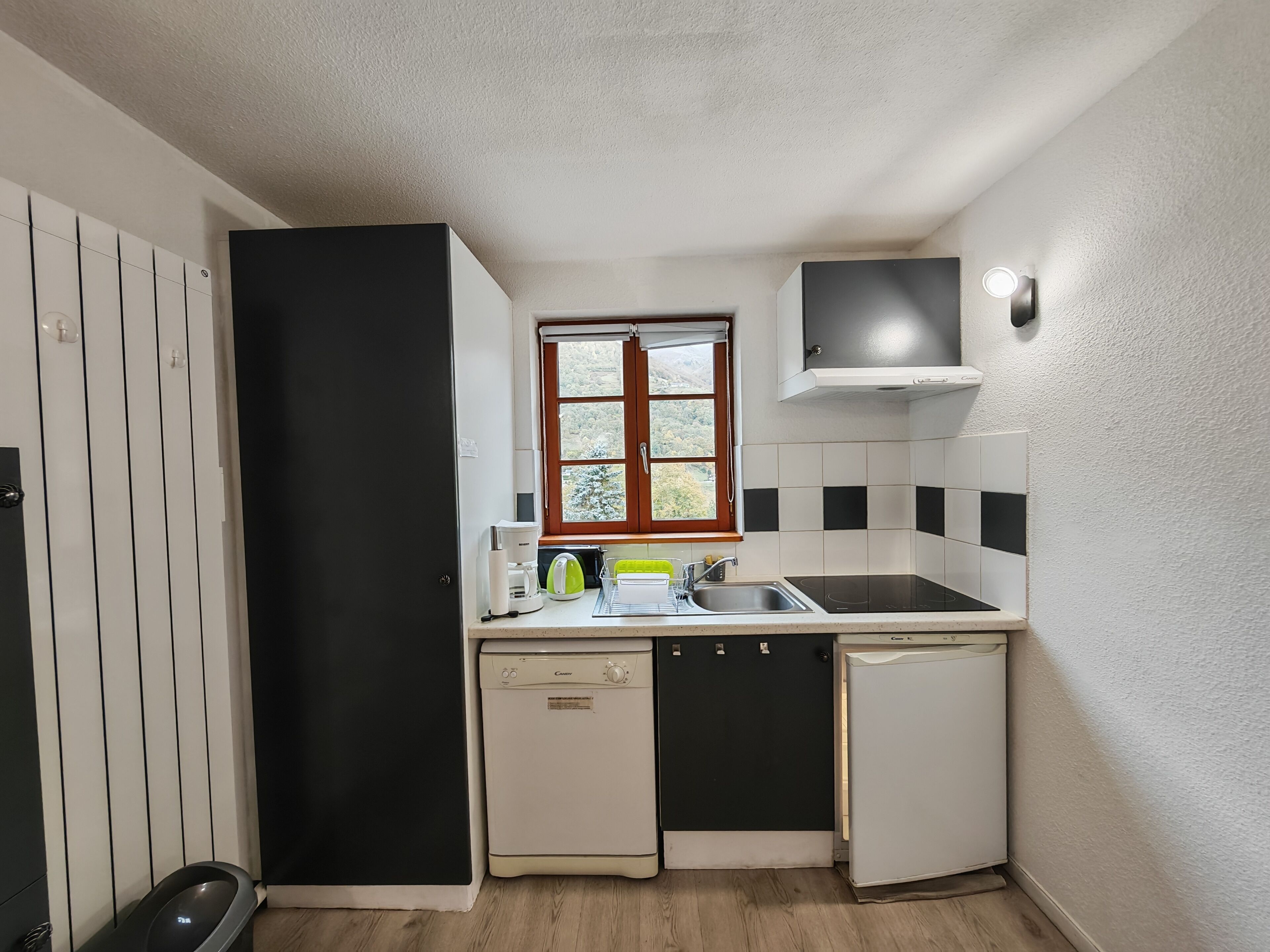 Kühlschrank, Mikrowelle, Herdplatte, Geschirrspüler