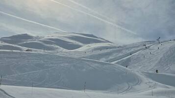 Sneeuw- en skisporten