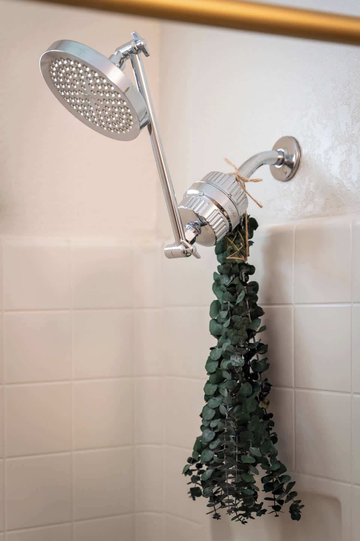A shower with a rain showerhead and a wall-mounted control knob.