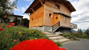 Exterior - Ch719 - Chalet for 10 People in Les Carroz (Araches-la-Frasse)