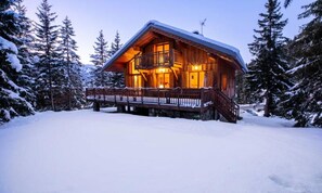 Exterior - Chalets for 11 People (Les Allues)