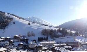 Aerial view - Polar Bear 29 (La Clusaz)