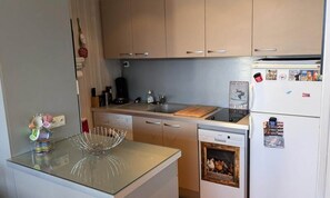 Fridge, microwave, oven, dishwasher - Three-room Apartment for 6/7 People With a Breathtaking View Facing South (Orcieres)