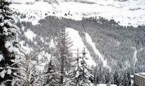 Miscellaneous - Comfortable Apartment At the Foot of the Slopes Free and Unlimited Wifi Terrace (Araches-la-Frasse)