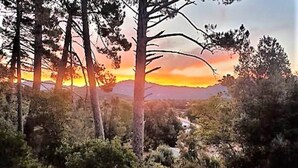 Miscellaneous - Paradisanu House in the Heart of the Mountains, a Stone's Throw From Hiking Trails (Levie)