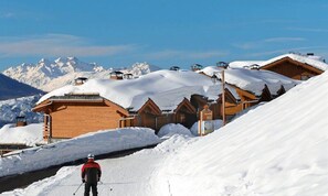 Snow and ski sports - Detached Triplex Chalet for 10 People (Valmeinier)
