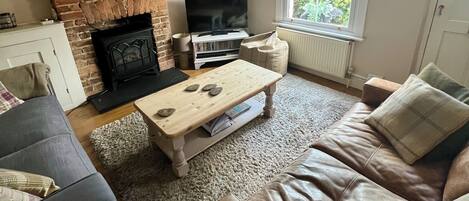 Smart TV, chimenea, reproductor de DVD y libros