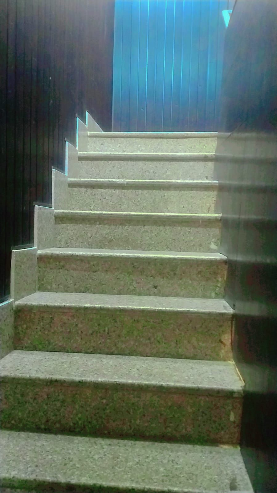 A set of stone steps leading upwards.