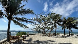 Una playa con un banco de madera y palmeras, con vista al mar.