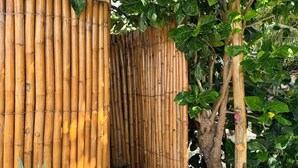 Una cerca de bambú con un camino de grava y diversas plantas.