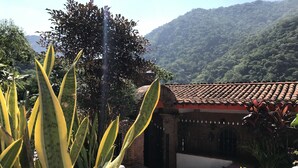 A courtyard with a tiled roof structure, surrounded by lush greenery and a mountain backdrop. - 🎥✨ Imagine waking up to the sound of the sea, a cup of coffee on the terrace. (Puerto Vallarta)