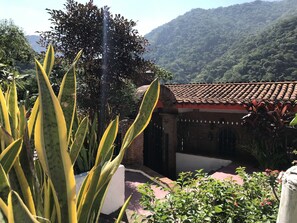 Property grounds - 🎥✨ Imagine waking up to the sound of the sea, a cup of coffee on the terrace. (Puerto Vallarta)