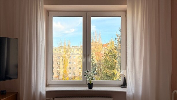 Une chambre d’hôtel avec un lit, une télévision, une fenêtre avec des rideaux, un radiateur et une plante en pot.