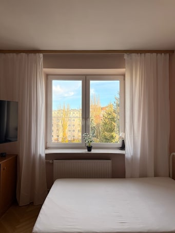 A hotel room with a bed, a TV, a window with curtains, a radiator, and a potted plant.