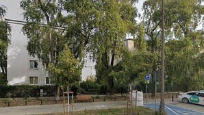 Un espace de stationnement avec une voiture de la marque Bolt, des arbres, un banc et une clôture.