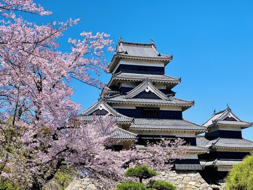 TC1 Tomo's cafe annex