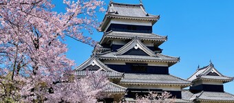 TC1 Tomo's cafe annex