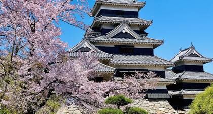 TC1 Tomo's cafe annex