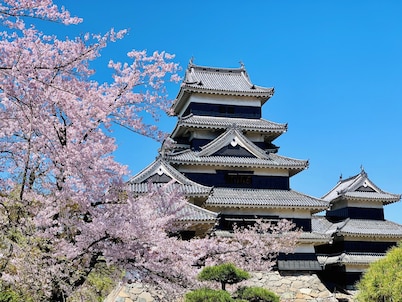 TC1 Tomo's cafe annex