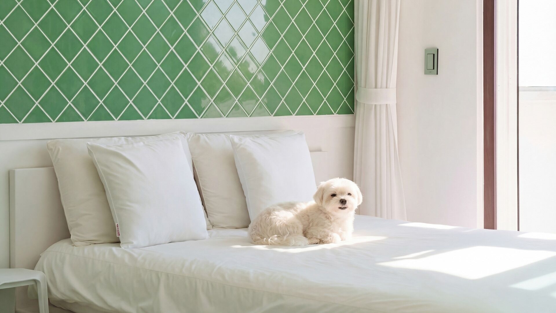 Un lit avec une literie et des oreillers blancs, un petit chien blanc assis dessus, et un mur vert à motifs derrière.