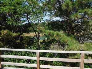 Property grounds - Private, marsh view, AND close to town!  (CS0051) (Wellfleet)