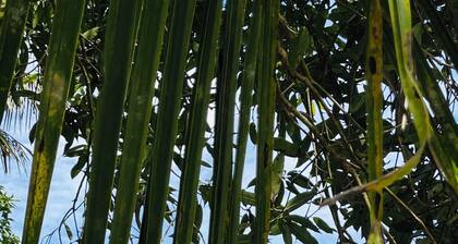 Private 3-bedroom villa in Joladalu for a peaceful getaway