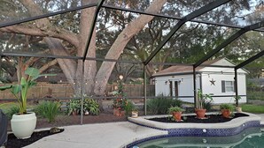 A backyard with a pool, potted plants, a small house, and a large tree.