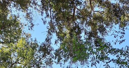 Art Under the Oaks Bed and Breakfast