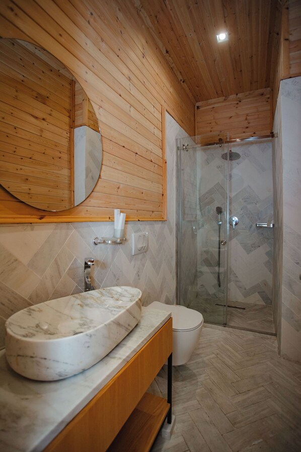 A modern bathroom with a wooden ceiling, a large oval sink, a toilet, and a glass-enclosed shower.