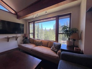 TV, fireplace, offices