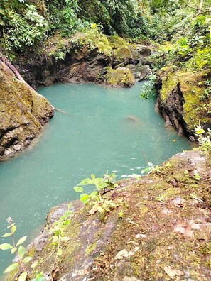 واي فاي مجانًا