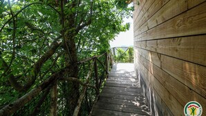 Une terrasse en bois mène à un bâtiment entouré d’une végétation luxuriante.