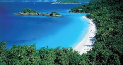 Oceanview Stay - Walk to Beach