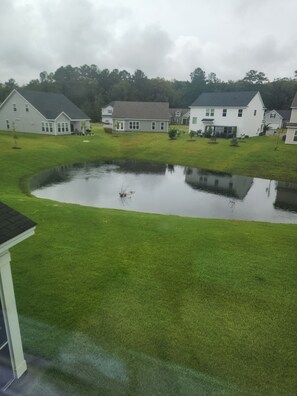 Property grounds - Large beautiful 4 bedroom house with room for the whole family! (Savannah)