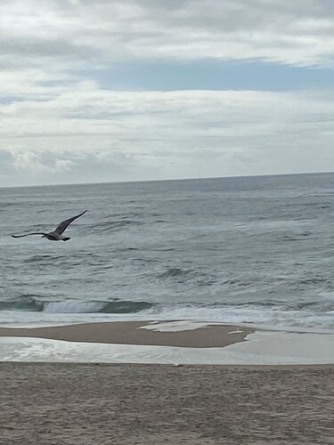 The house on the Atlantic Ocean Portugal
