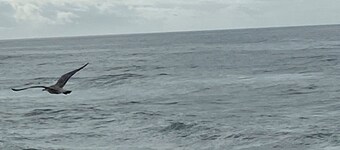 The house on the Atlantic Ocean Portugal