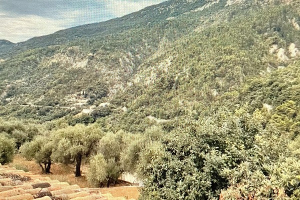 Blick von der Unterkunft