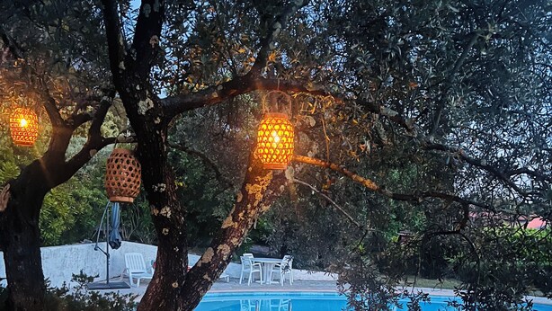 A pool area with a view of the pool, surrounded by trees and outdoor seating. - Charm and relaxed living in Lorgues: Villa Tira, swimming pool and 3300 m2 garden (Lorgues)