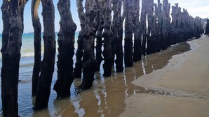 Ein Strand mit Holzpfählen im Wasser.