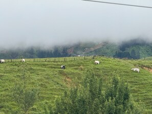 Yhteismajoitus, 1 makuuhuone, tupakointi sallittu, kaupunkinäköala | Ulkopuoli