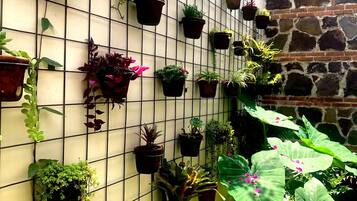 Ărea da propriedade